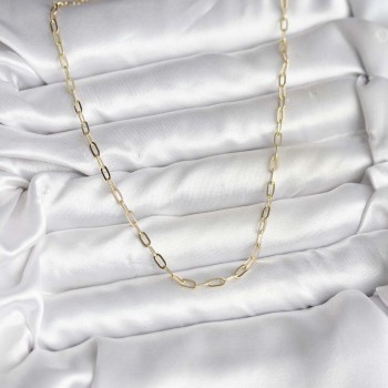 14K Gold Renk Kaplama Ataç Zincir Model CM Kadın Kolye