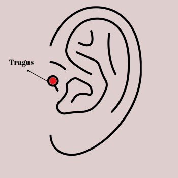 316L Çelik Gold Renk Zirkon Taşlı Kalp Tragus Piercing