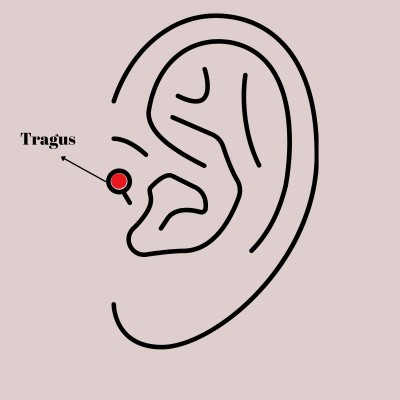 316L Çelik Gümüş Renk Renkli Zirkon Taşlı Yıldız Model Tragus Piercing