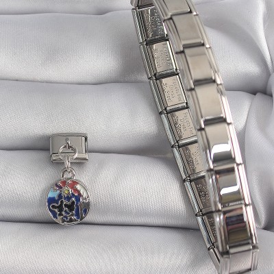 316L Çelik Gümüş Renk Sallantı Dünya Model Nomination Charm