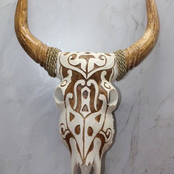 Ahşap Duvara Asmalı Bufalo Kafası 