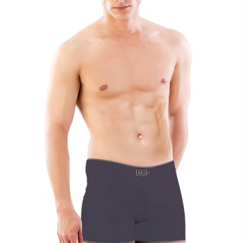 Arias Closet Antrasit Mı Emay 2108 Seamless Uzun Erkek Boxer