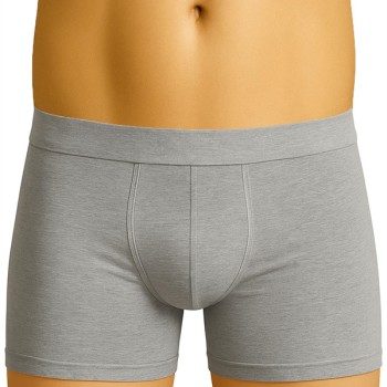 Arias Closet Gri Mı Emay 6800 Erkek Boxer