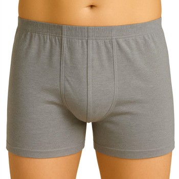 Arias Closet Gri Mı Emay 6810 Arjantin Erkek Boxer