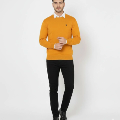 Bisiklet Yaka Nakış işlemeli Triko Kazak yumuşak dokulu Pamuklu ince Dokuma, uzun kollu Rahat Regular kalıp - Turuncu