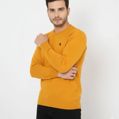 Bisiklet Yaka Nakış işlemeli Triko Kazak yumuşak dokulu Pamuklu ince Dokuma, uzun kollu Rahat Regular kalıp - Turuncu