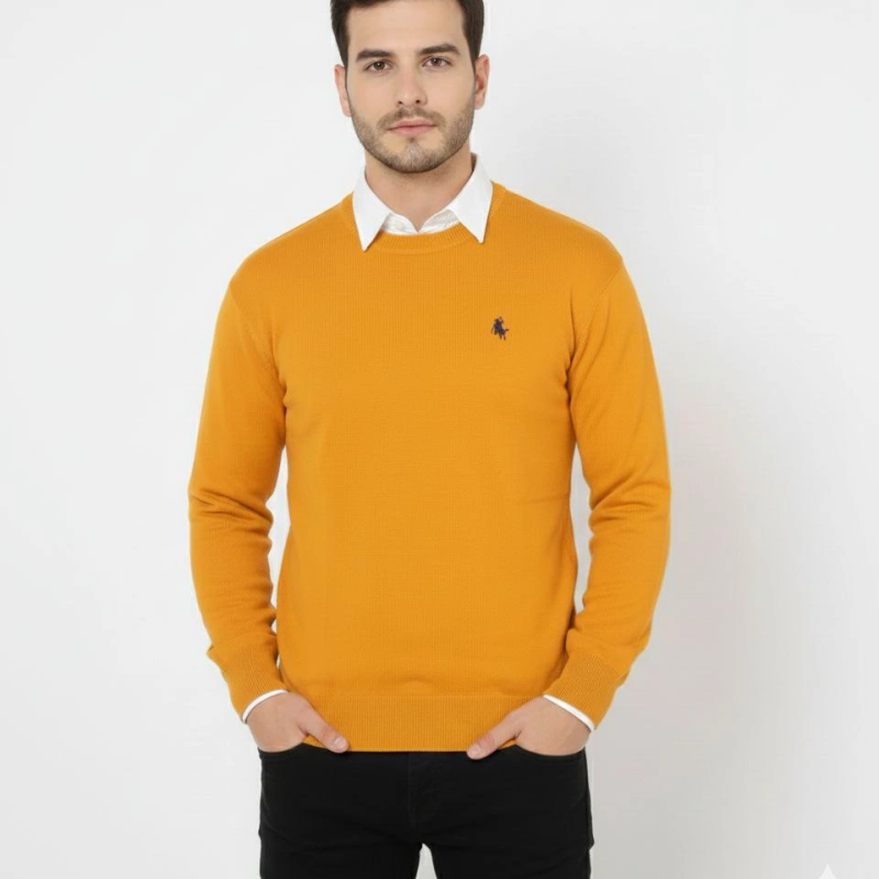 Bisiklet Yaka Nakış işlemeli Triko Kazak yumuşak dokulu Pamuklu ince Dokuma, uzun kollu Rahat Regular kalıp - Turuncu