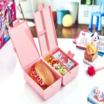 Çift Kapaklı Bölmeli Beslenme Kabı 