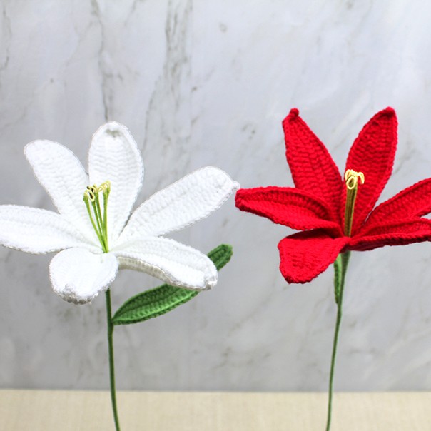 El Örgüsü Zambak Çiçeği 