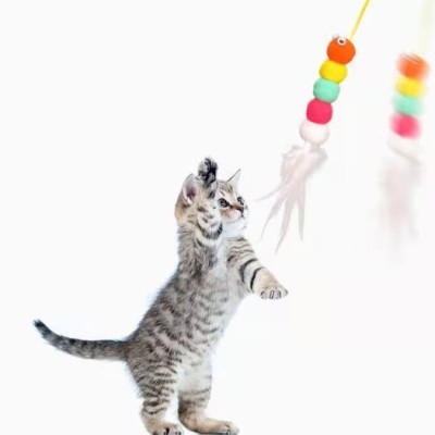 Elastik Yapışkanlı Kedi Oyun Oltası