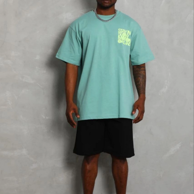 Erkek Baskılı T-Shirt Kısa Kol Bisiklet Yaka Regular Fit Tişört - Mint Yeşili