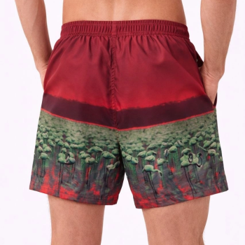 Erkek Deniz Şortu Fermuarlı Cepli File Astarlı Hızlı Kuruyan Premium - Kırmızı