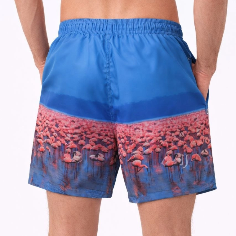 Erkek Deniz Şortu Fermuarlı Cepli File Astarlı Hızlı Kuruyan Premium - Mavi