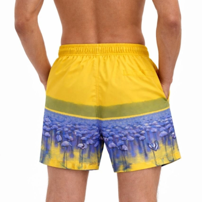 Erkek Deniz Şortu Fermuarlı Cepli File Astarlı Hızlı Kuruyan Premium - Sarı