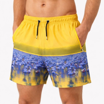 Erkek Deniz Şortu Fermuarlı Cepli File Astarlı Hızlı Kuruyan Premium - Sarı