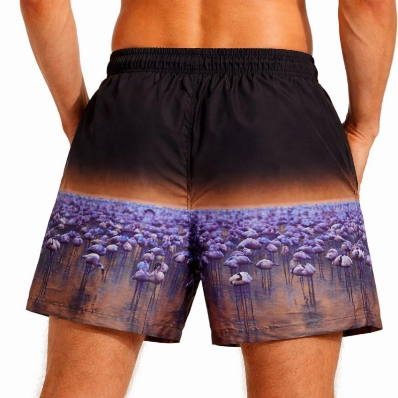 Erkek Deniz Şortu Fermuarlı Cepli File Astarlı Hızlı Kuruyan Premium - Siyah