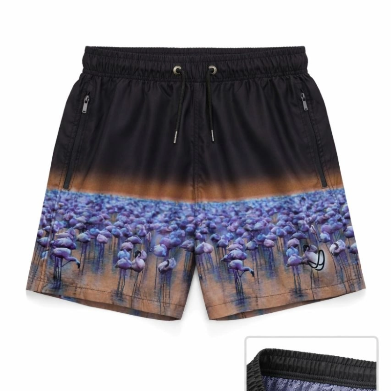 Erkek Deniz Şortu Fermuarlı Cepli File Astarlı Hızlı Kuruyan Premium - Siyah