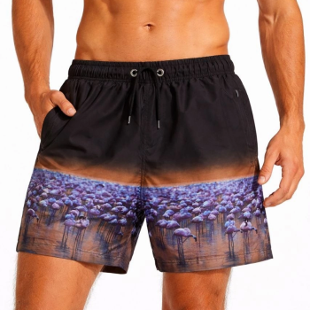 Erkek Deniz Şortu Fermuarlı Cepli File Astarlı Hızlı Kuruyan Premium - Siyah