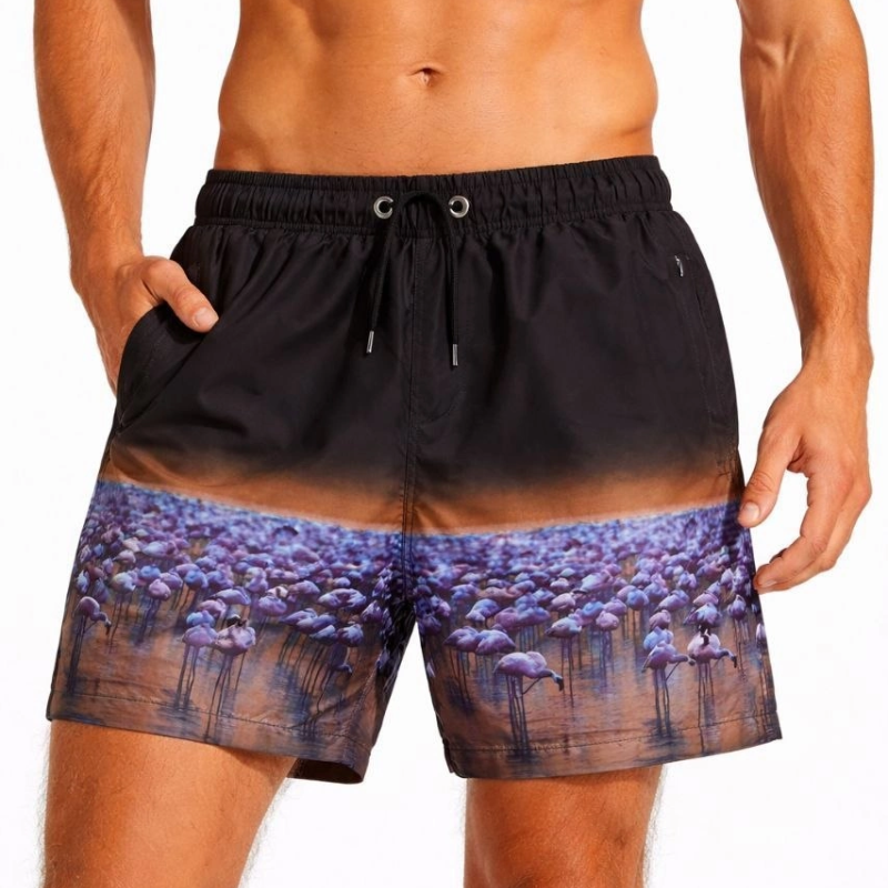 Erkek Deniz Şortu Fermuarlı Cepli File Astarlı Hızlı Kuruyan Premium - Siyah