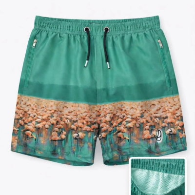 Erkek Deniz Şortu Fermuarlı Cepli File Astarlı Hızlı Kuruyan Premium - Su Yeşili