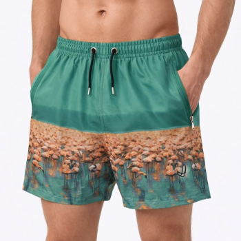 Erkek Deniz Şortu Fermuarlı Cepli File Astarlı Hızlı Kuruyan Premium - Su Yeşili