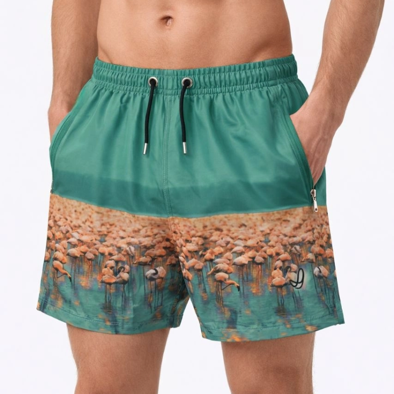 Erkek Deniz Şortu Fermuarlı Cepli File Astarlı Hızlı Kuruyan Premium - Su Yeşili