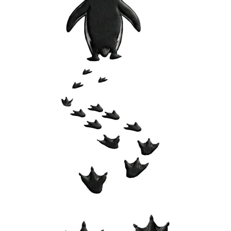 Erkek Nihilist Penguen Baskılı 3 İplik Pamuklu Kapüşonlu Sweatshirt Hoodie Beyaz