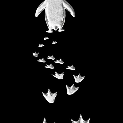Erkek Nihilist Penguen Baskılı 3 İplik Pamuklu Kapüşonlu Sweatshirt Hoodie Siyah