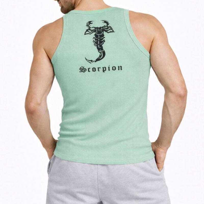 Erkek Spor Slimfit Fitilli Kaşkorse Arka Basklı Atlet 2'li Set Siyah-Mint Yeşili