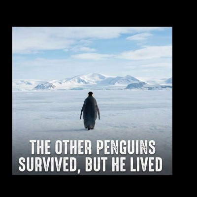 Erkek Survivor Penguin Baskılı 3 İplik Pamuklu Kapüşonlu Sweatshirt Hoodie Siyah