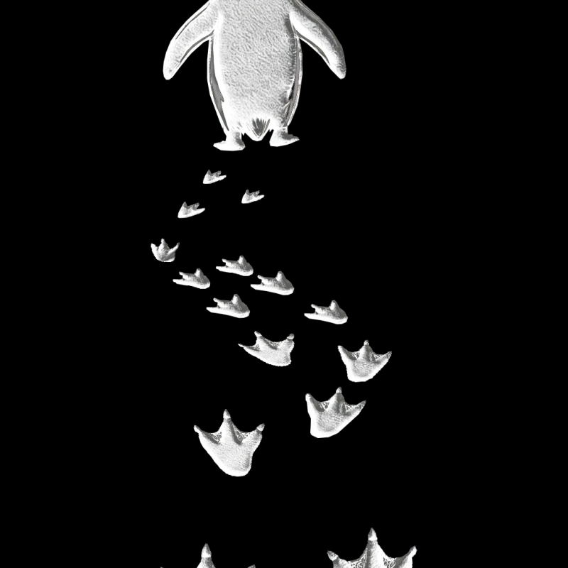 Erkek T-Shirt Nihilist Penguen Baskılı Bisiklet Yaka Kısa kol yazlık Tişört - Siyah