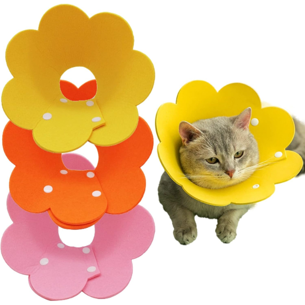 Evcil Hayvan L Boy Keçe Elizabeth Yakalığı  