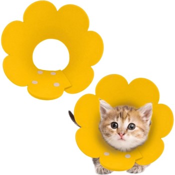 Evcil Hayvan S Boy Keçe Elizabeth Yakalığı 