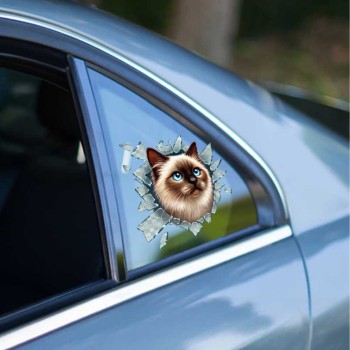 Fulcar Siamesse Araç Stickerı