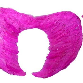 Gerçek Tüylü Katlanabilir Melek Kanadı Seti