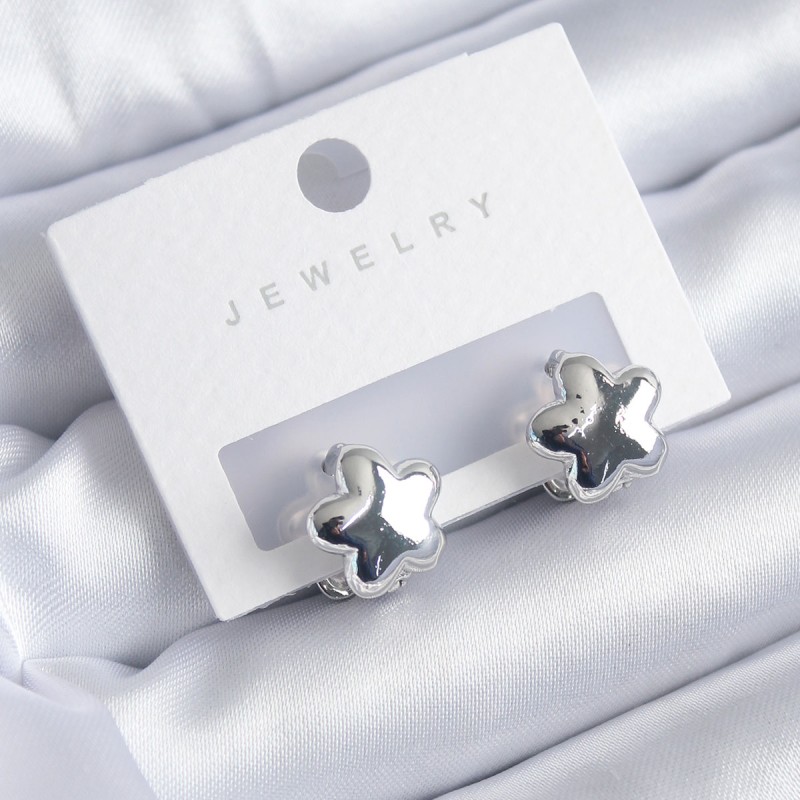 Gümüş Renk Yıldız Model Yıldız Model Pirinç Kadın Küpe