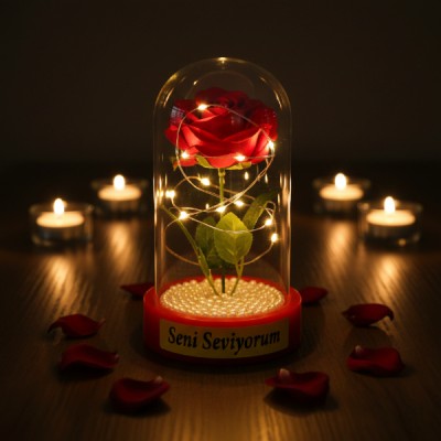 İncili Ledli Gül Fanus 