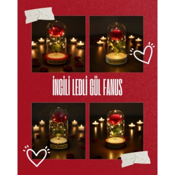 İncili Ledli Gül Fanus 