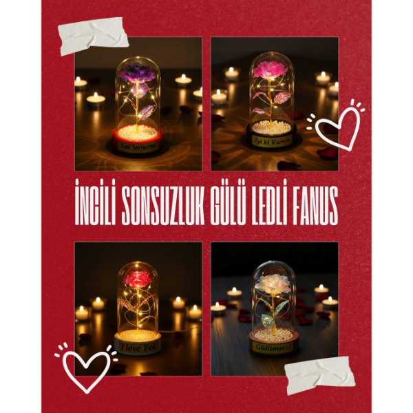 İncili Sonsuzluk Gülü Ledli Fanus 