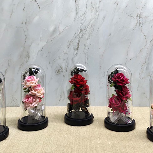 Işıklı Müzikli Cam Fanus İçinde Romantik Gül  