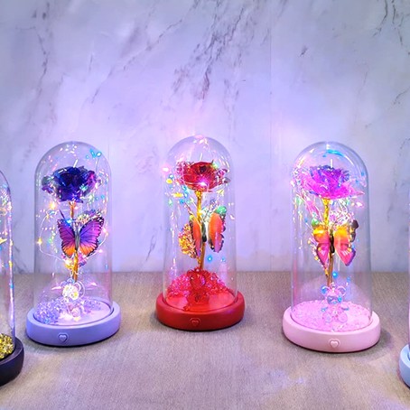 Işıklı Müzikli Romantik Kelebekli Fanus içinde Gül  