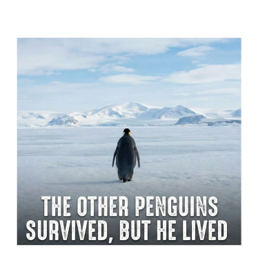 Kadın 3 İplik Pamuklu Kapüşonlu Hoodie Sweatshirt Survivor Penguen Baskılı - Siyah