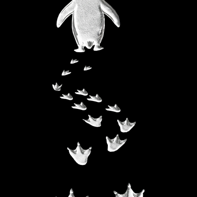 Kadın T-Shirt Penguen Baskılı Bisiklet Yaka Kısa kol yazlık Tişört - Siyah