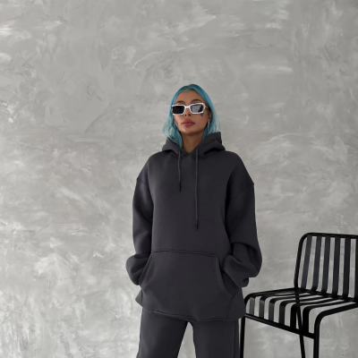 Kapüşonlu Üç İplik Penye Basic SweatShirt - Füme -