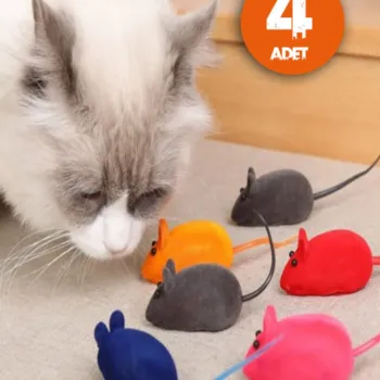Kedi Eğitim Oyun Faresi 4 Adet