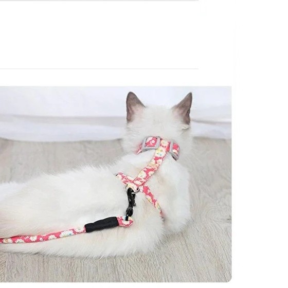 Kedi Gezdirme Göğüs Tasması 