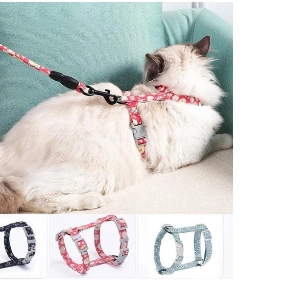 Kedi Gezdirme Göğüs Tasması 