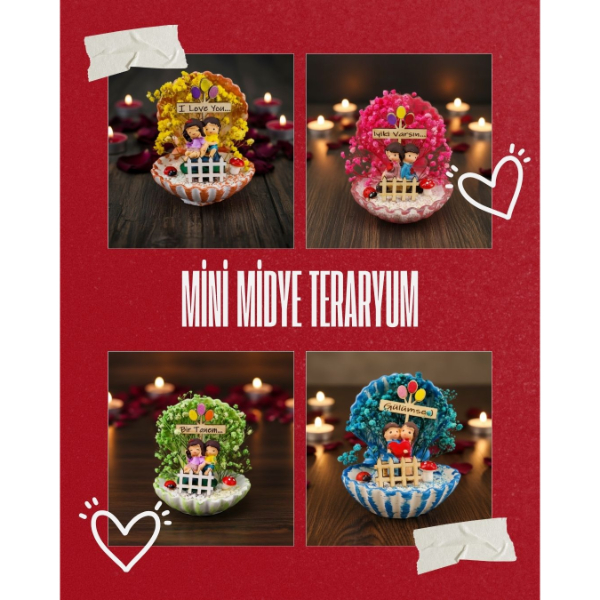 Mini Midye Teraryum - Özel Gün Hediyesi 