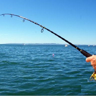 Misina İpi 300 Metre