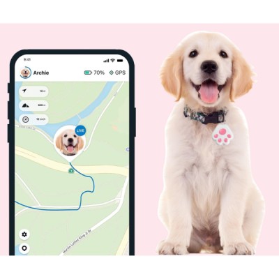 Mobil Uygulamalı Evcil Hayvan Takip Cihazı 